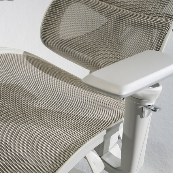 COFO Chair Premium 2