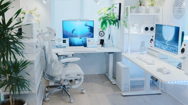 COFO Chair Premium 2