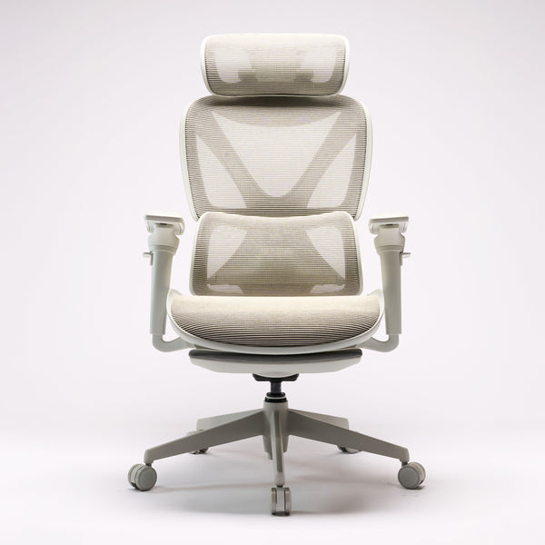 COFO Chair Pro 2