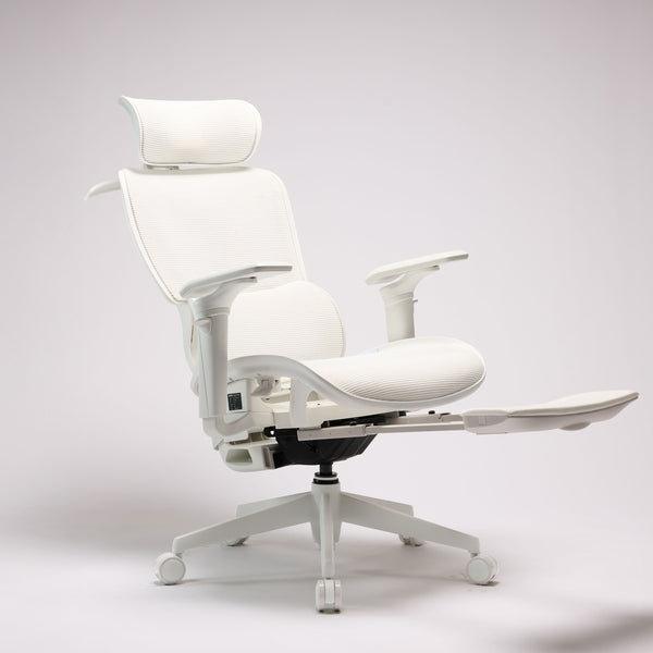 COFO Desk Premium